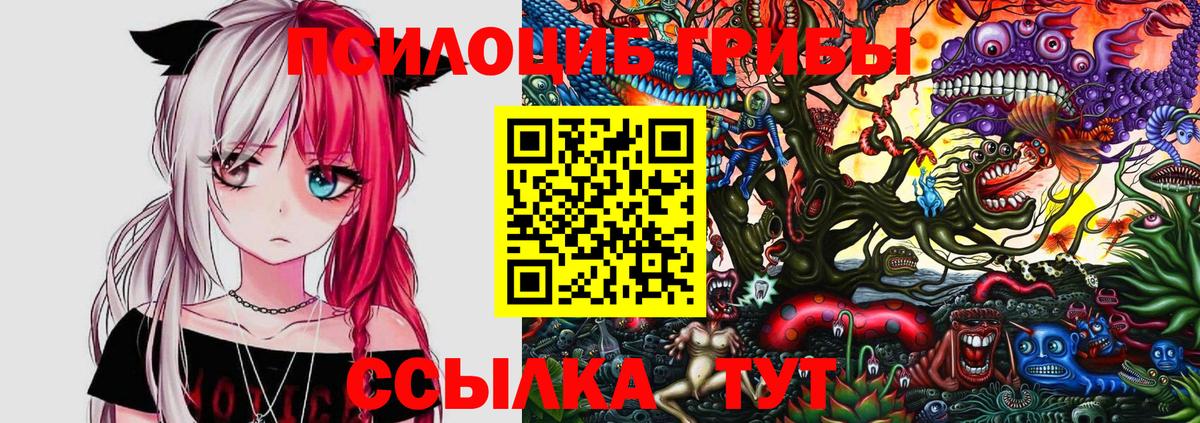 Псилоцибиновые грибы прущие грибы Кириши