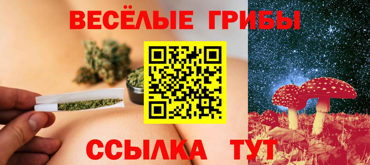 Кириши  Галлюциногенные грибы GOLDEN TEACHER  Галлюциногенные грибы ЛСД  Вход с VPN 